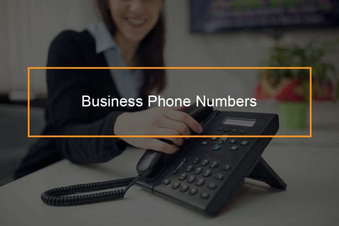 business plan phone number