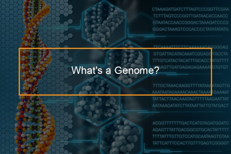 genome-sequencing-flashmob-computing